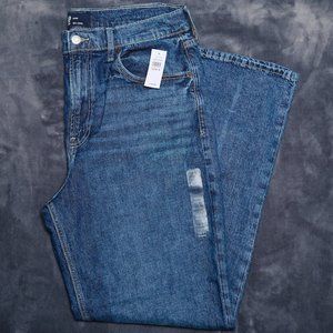 NWT Gap 90s Loose Jeans with Washwell - 12/31R